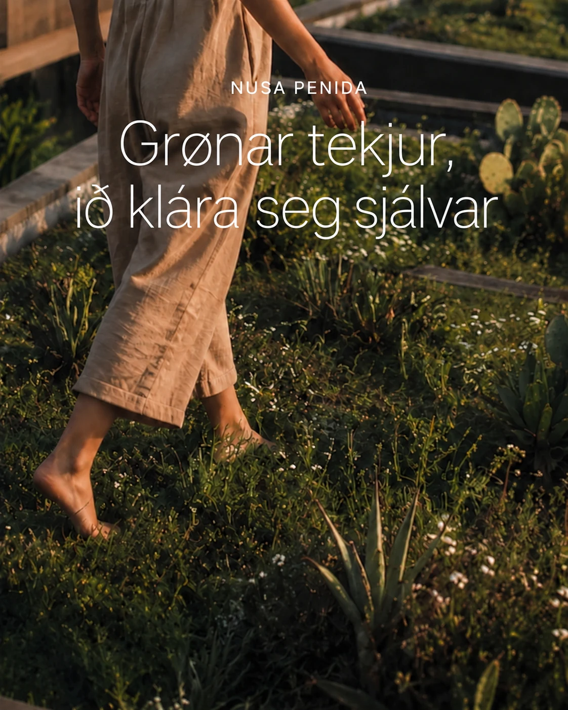 Grønar takterrassur og tropiskt landslag í Nusa Penida